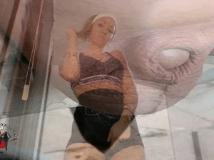 Virgin (COD.1314)